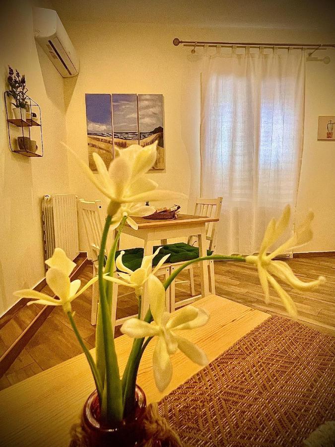 Casa Batu Alle Porte Del Capo 巴勒莫 外观 照片